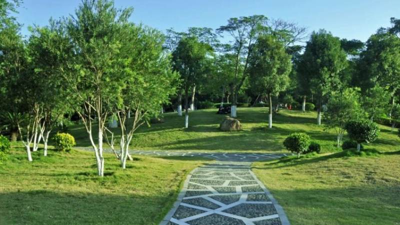 奥运会篮球直播怎么看？赛制、观看渠道与常见问题解析
